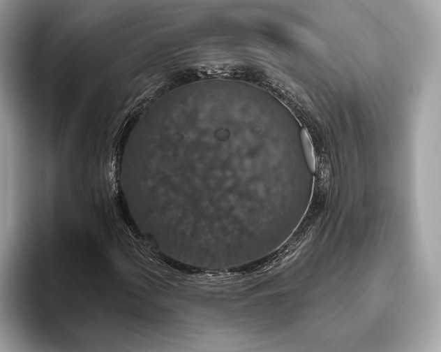 X0000093621060200710221542