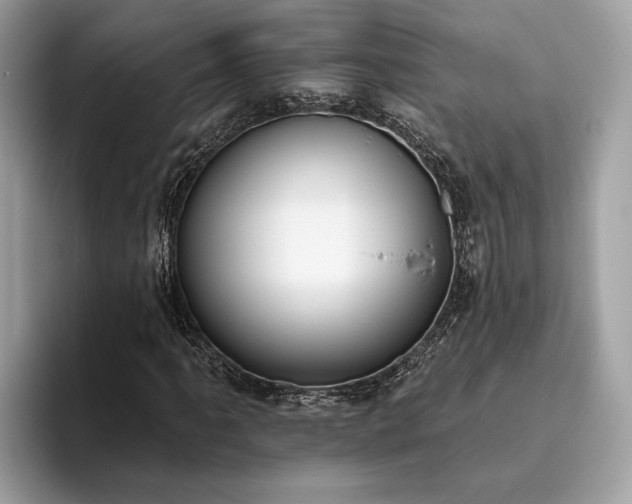 X0000093621061200710221542