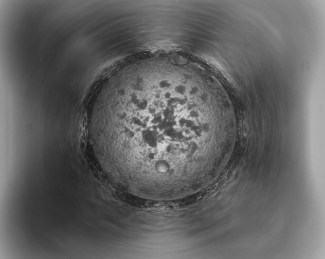 X0000093621063200710221542