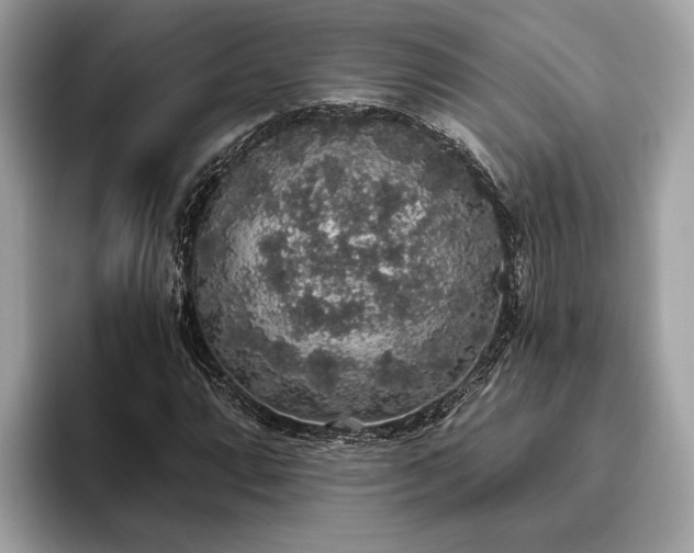 X0000093621064200710221542