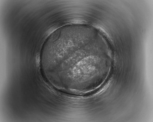 X0000093621065200710221542