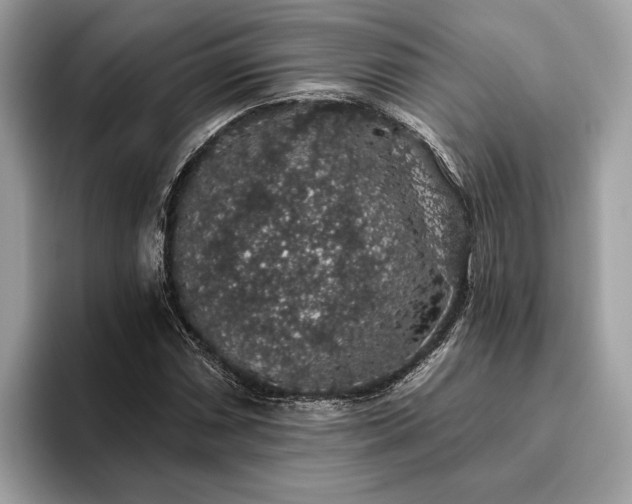 X0000093621066200710221542