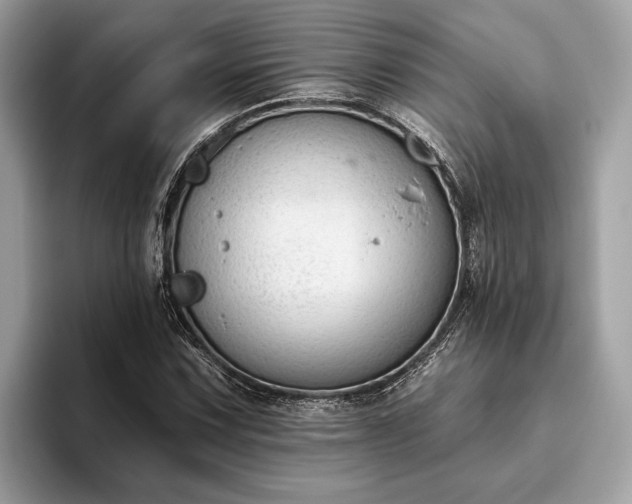X0000093621067200710221542