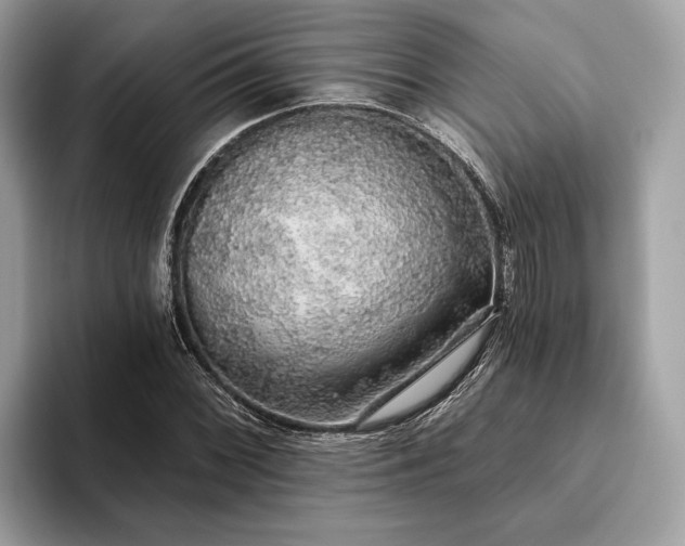 X0000093621068200710221542