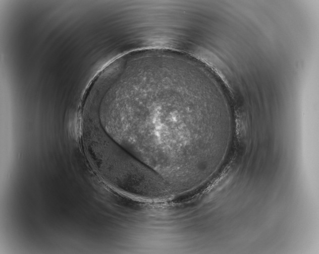 X0000093621069200710221542