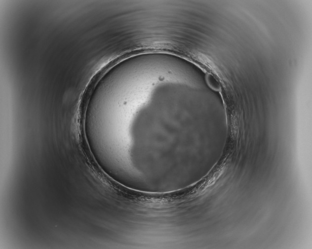 X0000093621071200710221542
