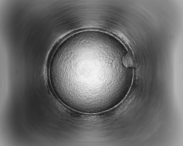 X0000093621072200710221542