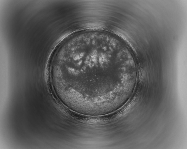 X0000093621074200710221542
