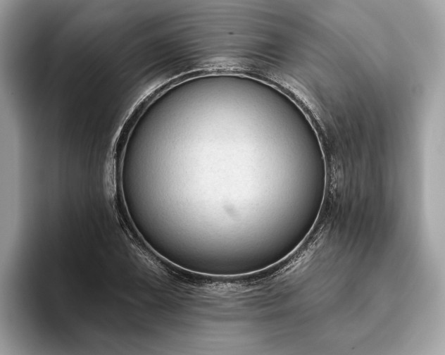 X0000093621075200710221542