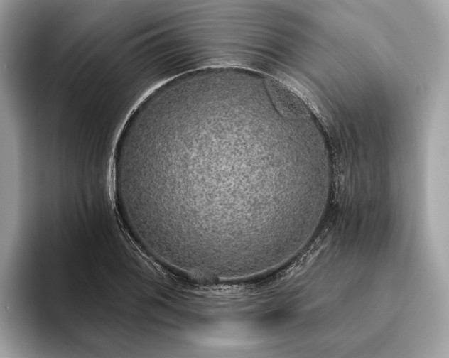 X0000093621076200710221542