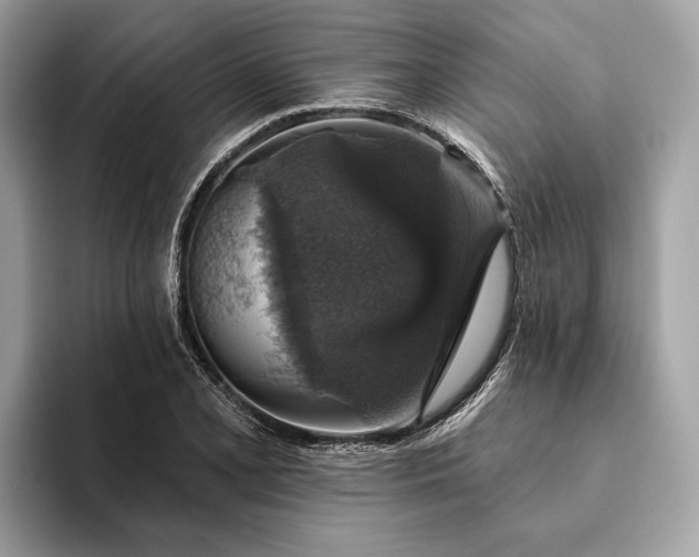 X0000093621077200710221542