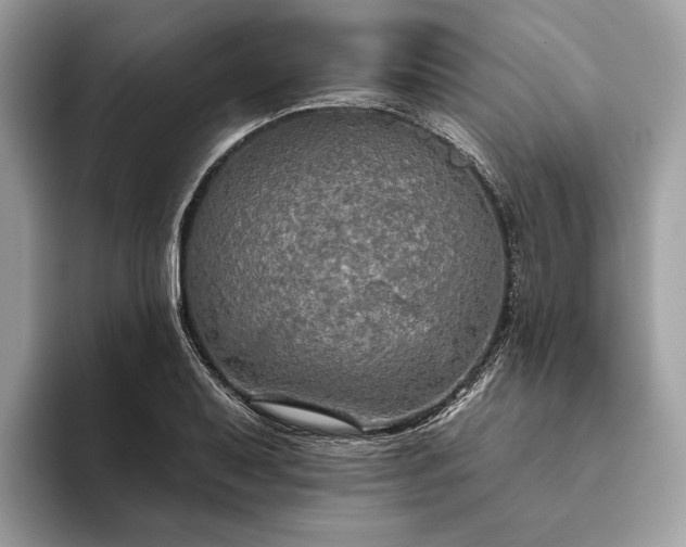 X0000093621079200710221542