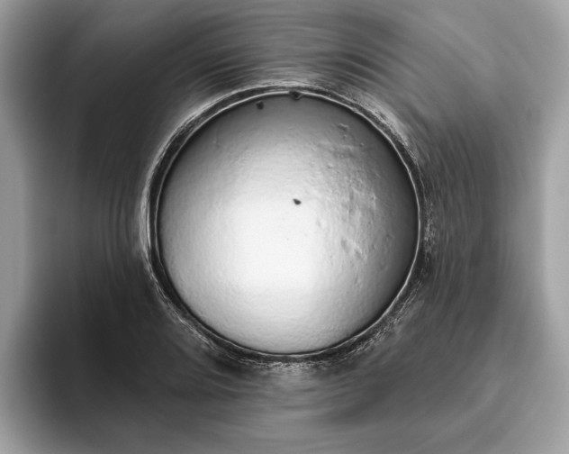 X0000093621080200710221542