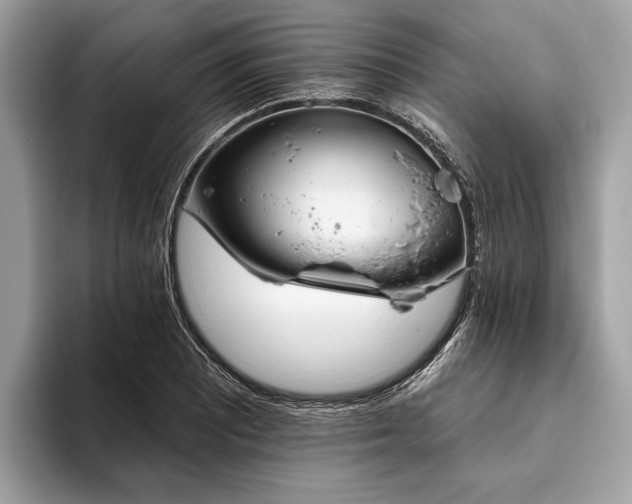 X0000093621081200710221542