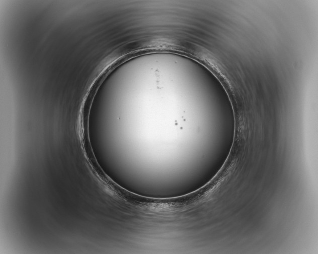 X0000093621082200710221542