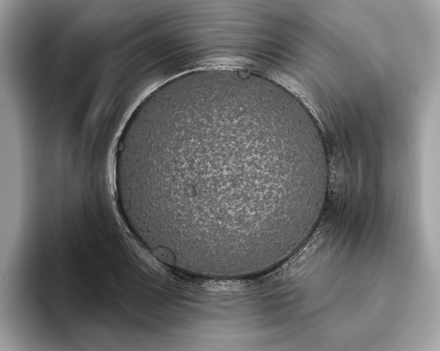 X0000093621083200710221542