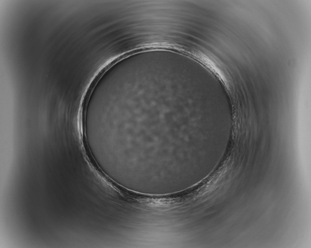 X0000093621084200710221542