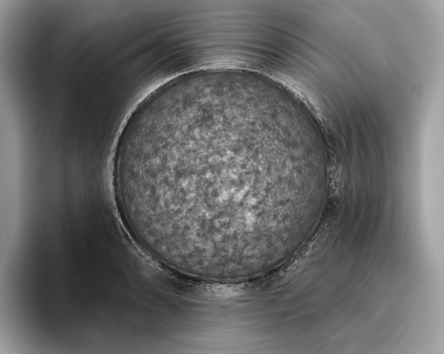 X0000093621086200710221542