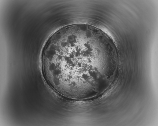 X0000093621088200710221542