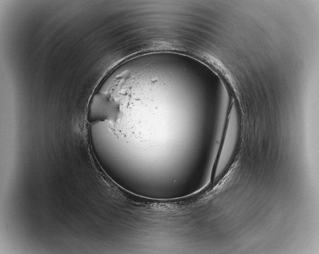 X0000093621089200710221542