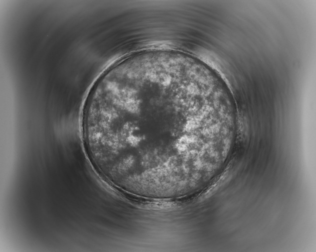 X0000093621090200710221541