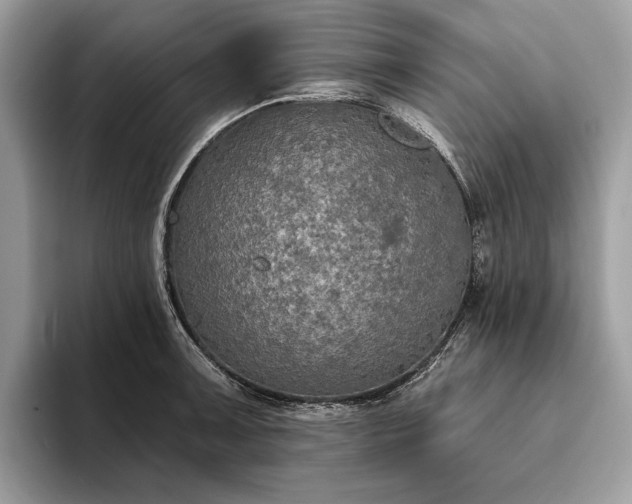 X0000093621091200710221541