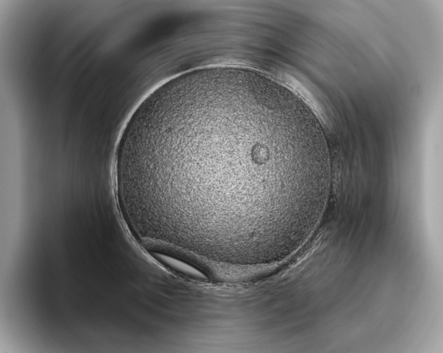 X0000093621092200710221541
