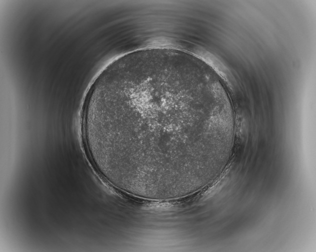 X0000093621094200710221541