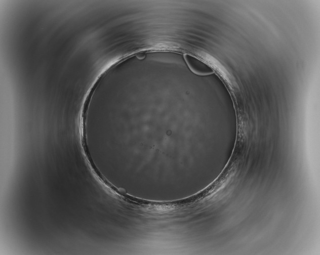 X0000093621095200710221541