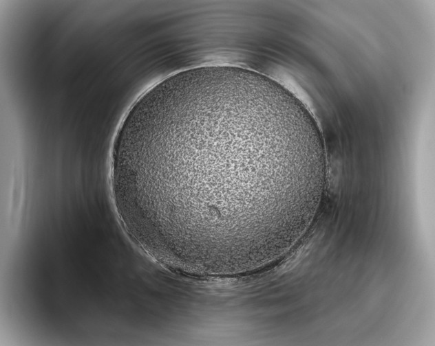 X0000093621096200710221541