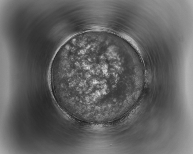 X0000093621098200710221541
