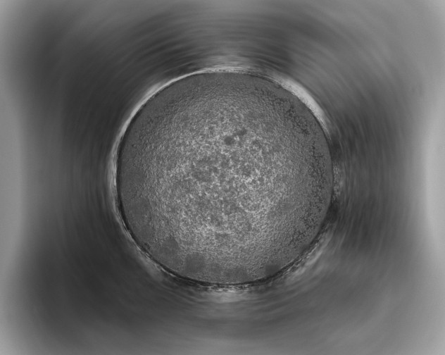 X0000093621099200710221541