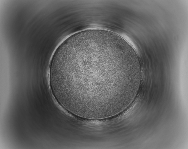 X0000093621100200710221541