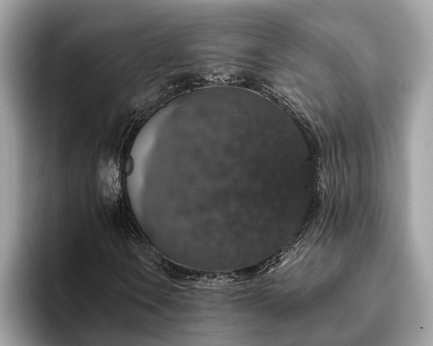 X0000093621106200710221541