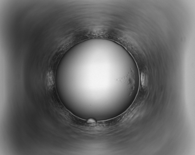 X0000093621107200710221541