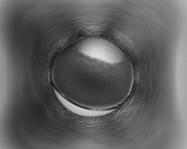 X0000093621108200710221541