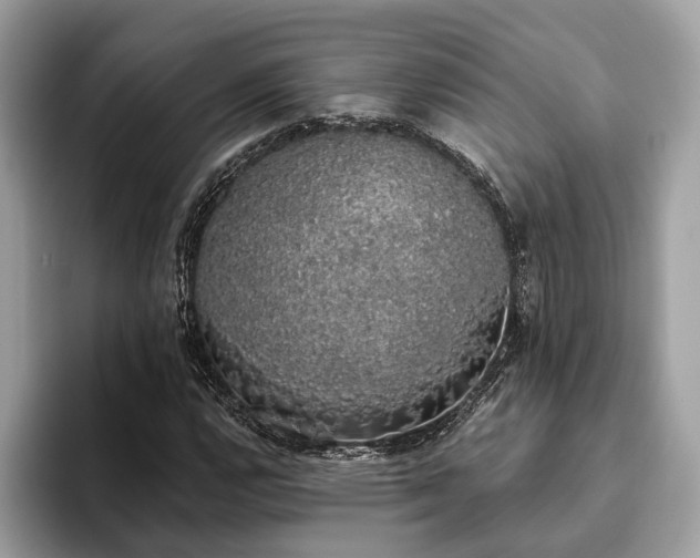 X0000093621112200710221541