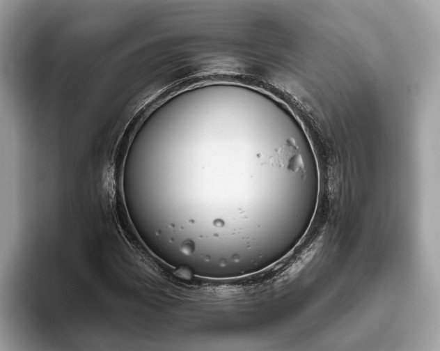 X0000093621113200710221541