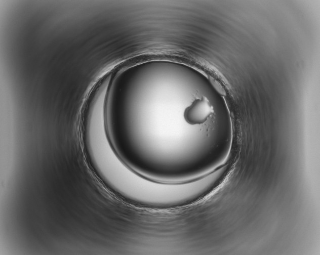X0000093621114200710221541