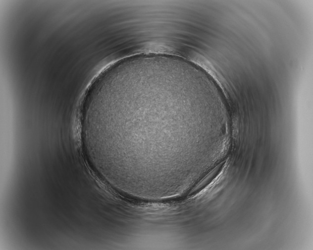 X0000093621115200710221541