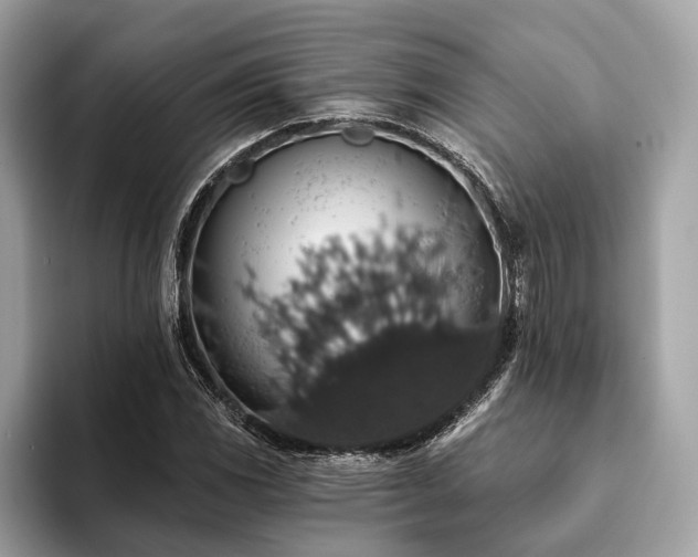 X0000093621117200710221541