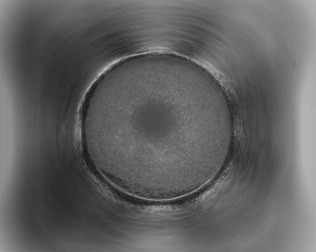 X0000093621118200710221541