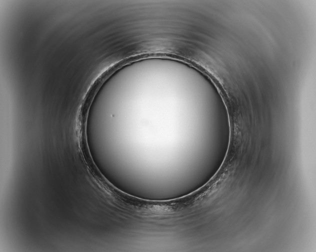 X0000093621119200710221541