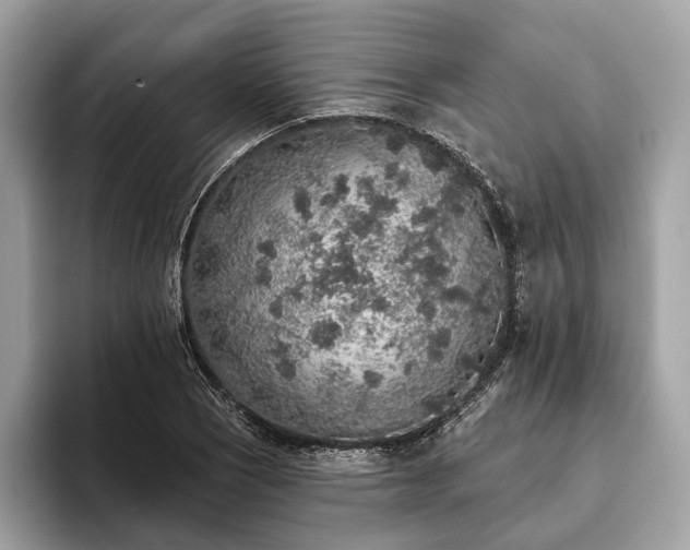 X0000093621121200710221541