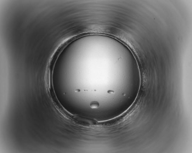 X0000093621123200710221541