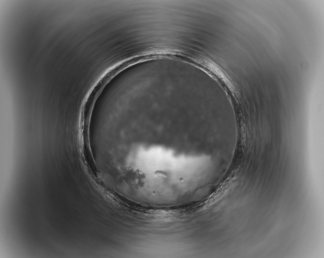 X0000093621124200710221541