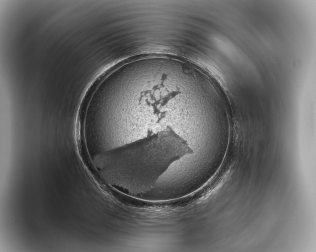X0000093621125200710221541