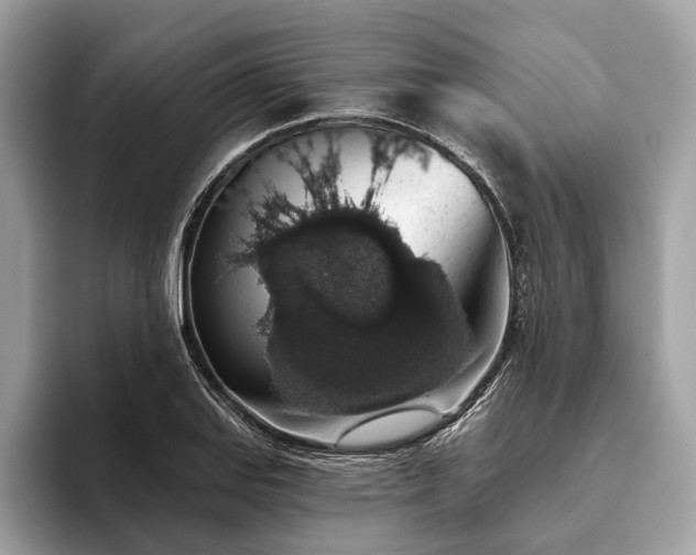 X0000093621127200710221541