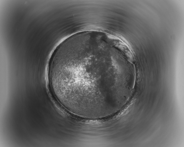 X0000093621128200710221541