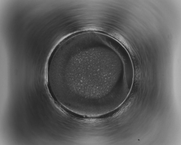 X0000093621132200710221541